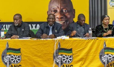 Güney Afrika'da ulusal birlik hükümeti kuruldu