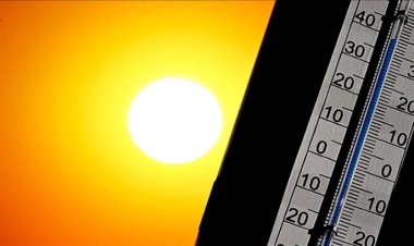 Yeni Zelanda'da okyanus ve kıyı suları sıcaklığı en yüksek seviyeye çıktı