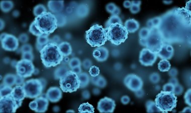 DSÖ'den "Yaz Covid"i uyarısı