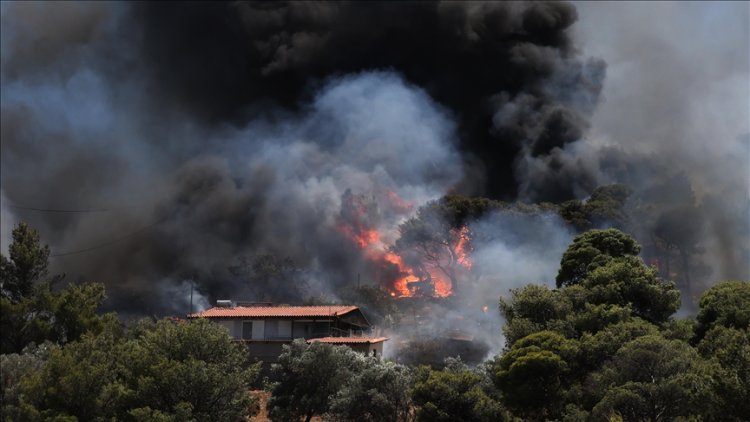 Yunanistan'da son 24 saatte 52 orman yangını çıktı
