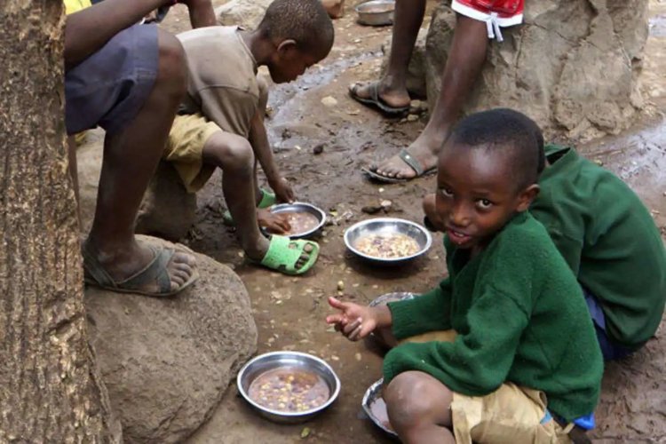 BM: Sudan son 20 yılın en kötü gıda güvensizliğiyle karşı karşıya