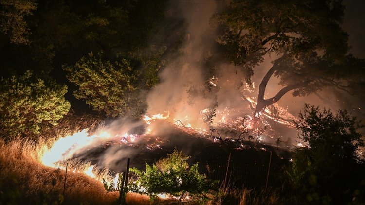California'daki orman yangını nedeniyle 26 binden fazla kişi tahliye edildi