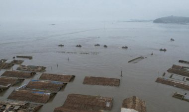 Kuzey Kore'deki selde ölü veya kayıp kişi sayısı bini aşmış olabilir
