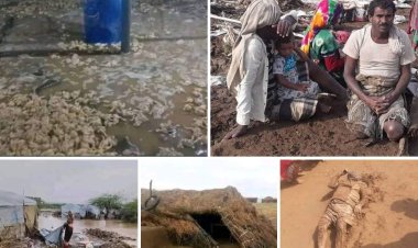 Yemen'in batısında meydana gelen selde 45 kişi yaşamını yitirdi