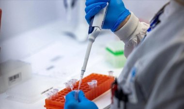 DSÖ uyardı: M çiçeği virüsü dünya genelinde yayılmaya devam ediyor