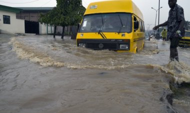 Tayland ve Nijerya'daki sel felaketlerinde can kaybı artıyor