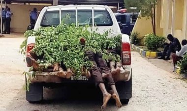 Nijerya'da silahlı çete üyeleri ile çatışma: 45 ölü