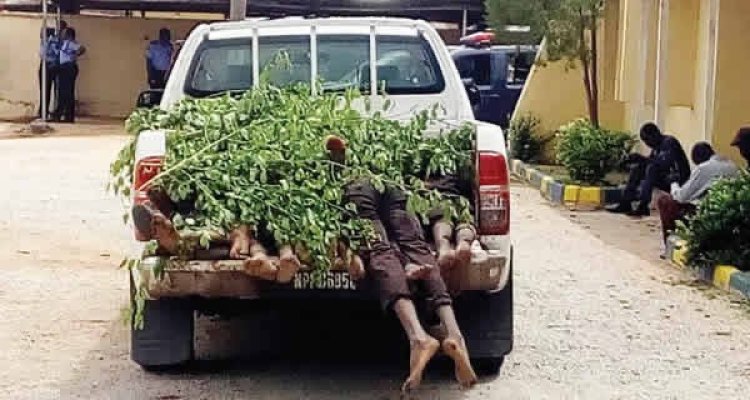 Nijerya'da silahlı çete üyeleri ile çatışma: 45 ölü