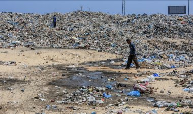 BM'den Gazze'de kemirgen ve böceklerin yayılabileceği uyarısı