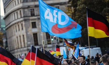 Almanya'da aşırı sağcı partilerin yükselişi yabancıları tedirgin ediyor
