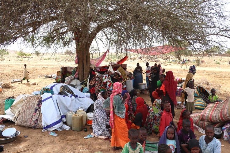 Güney Sudan'da yerinden edilmiş 800 bin kişi açlıkla karşı karşıya