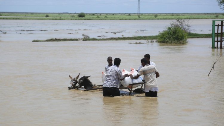 Sudan'daki kolera salgınında ölenlerin sayısı 252'ye çıktı