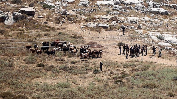 İsrail, Batı Şeria'da Filistinlilere ait yüzlerce dönüm araziye el koydu