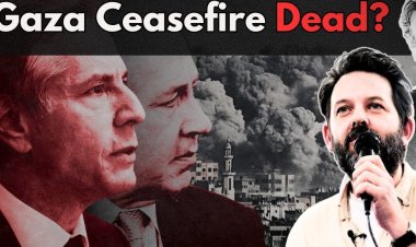 Loewenstein: "ABD, İsrail'in avukatı"