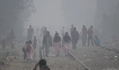 Pakistan'da hava kirliliğine karşı "yeşil karantina" planı