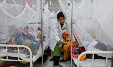 Bangladeş'te 11 dang humması ölümü kaydedildi