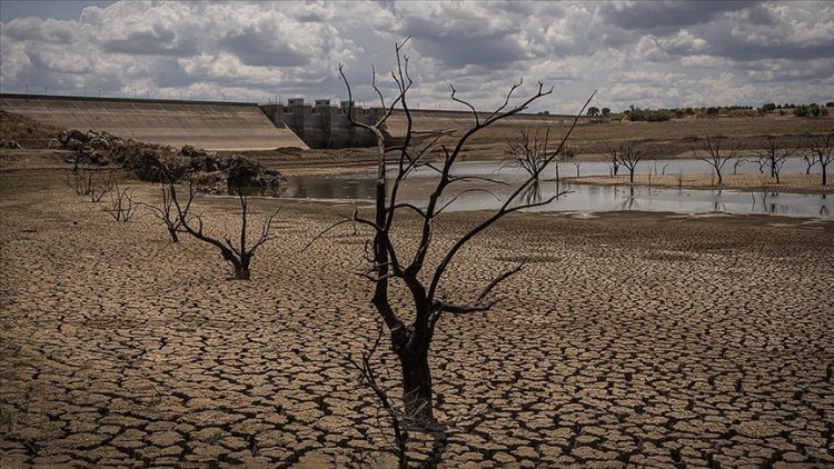 2050'ye kadar iklim kaynaklı olaylar nedeniyle 1,2 milyar insan yerinden olabilir