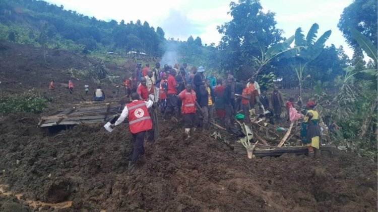 Uganda’da toprak kayması: 15 ölü, 113 kayıp