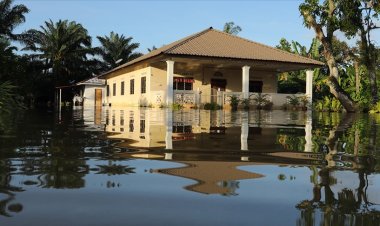 Malezya ve Tayland'daki sellerde ölü sayısı 31'e yükseldi