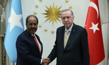 Cumhurbaşkanı Erdoğan, Somali Cumhurbaşkanı Mahmud ile görüştü