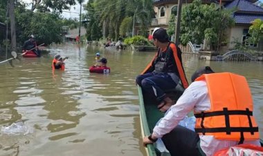 Tayland'da sel felaketi: 37 ölü