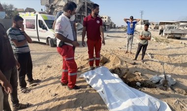 Gazze'de sokak hayvanlarının cesetleri parçalama vakaları artıyor