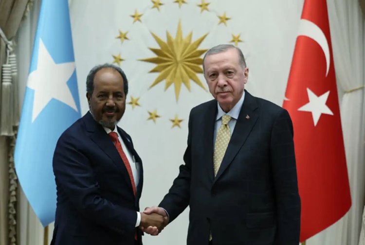 Cumhurbaşkanı Erdoğan, Somali Cumhurbaşkanı Şeyh Mahmud ile görüştü