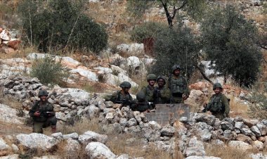 Batı Şeria'da gaspçı İsrailliler, Filistinlilerin zeytin ağaçlarını kesti