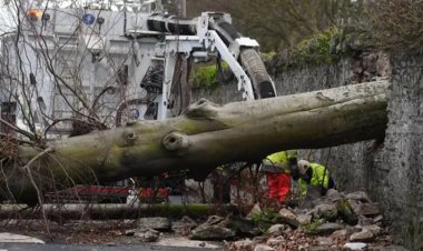 İspanya'da Herminia Fırtınası hayatı olumsuz etkiliyor