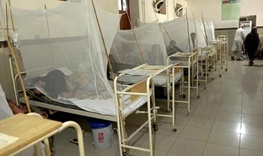 Filipinler'de dang humması salgını ilan edildi