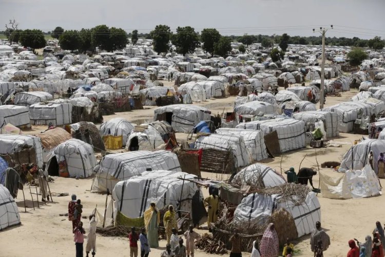 Çad Gölü Havzası'ndaki çatışmalar 6 milyon kişiyi yerinden etti