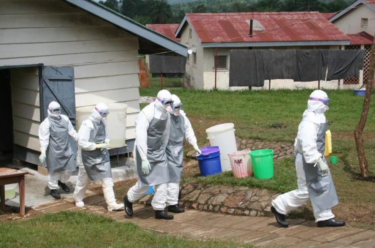 Nijerya'da Ebola salgını alarmı