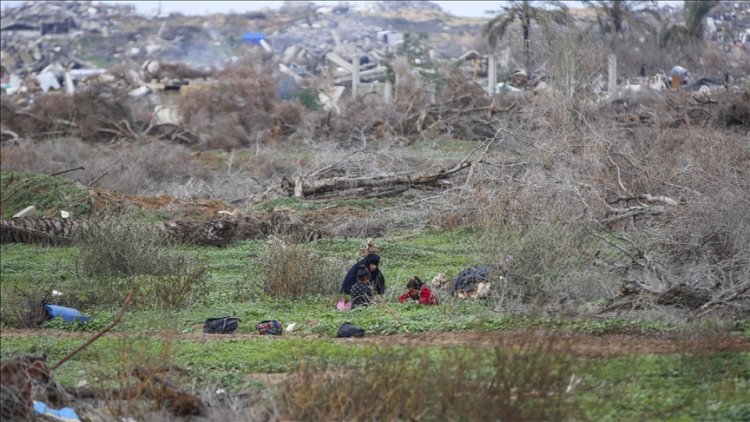 Refah Belediyesi: Ateşkes yok, 200 bin sığınmacı açıkta.