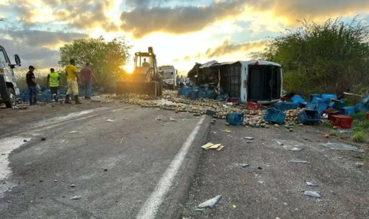 Brezilya'da otobüsle kamyon çarpıştı: 12 öğrenci öldü