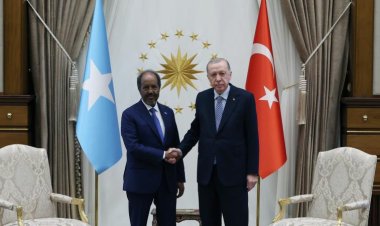 Cumhurbaşkanı Erdoğan, Somali Cumhurbaşkanı ile görüştü