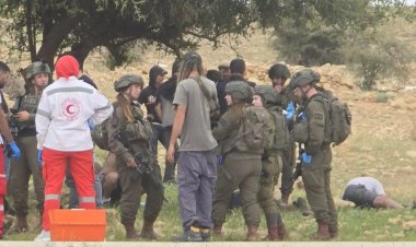 Yahudi çeteler Filistinli köylülere saldırdı