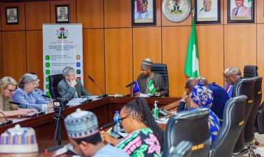 AB’den Nijerya’ya 300 milyon avroluk destek: Hedef militan gruplarla mücadele