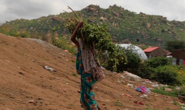Etiyopya'da 10 milyondan fazla kişi ciddi gıda güvensizliği yaşıyor