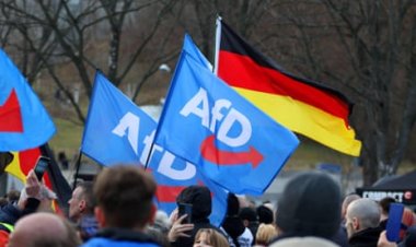 Alman iç istihbaratı: AfD aşırı sağcı bir oluşum