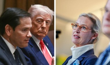 Almanya’dan ABD’ye AfD tepkisi: "Aşırı sağ" eleştirisine sert yanıt