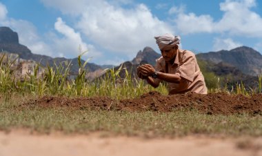 Küresel gıda güvenliği için kırsal dönüşüm ve yatırım şart
