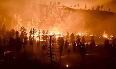 ABD'de orman yangınında yaklaşık 21 bin dönüm küle döndü