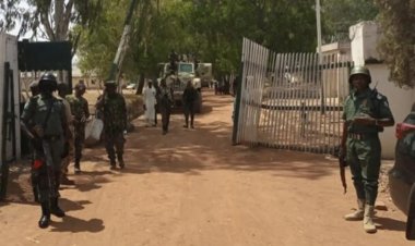 Nijerya'da silahlı saldırı: 43 ölü