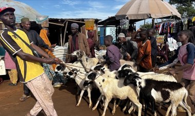 Nijer'in ECOWAS'tan ayrılması Nijerya'daki kurbanlık fiyatlarını vurdu