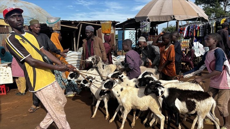 Nijer'in ECOWAS'tan ayrılması Nijerya'daki kurbanlık fiyatlarını vurdu