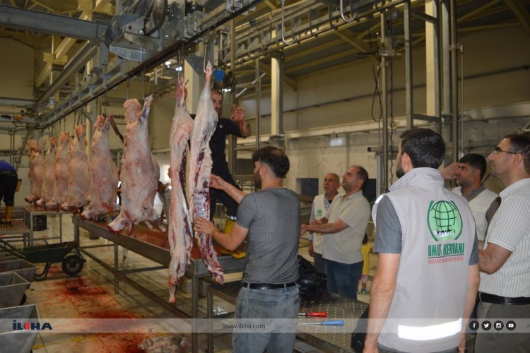 Umut Kervanı ve Yetimler Vakfı, Kurban Bayramı’nda yüzleri güldürdü