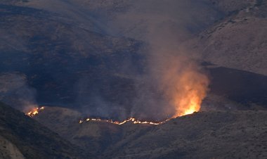 ABD'nin California eyaletinde yangınlar, 22 bin hektardan fazla alanı kapladı