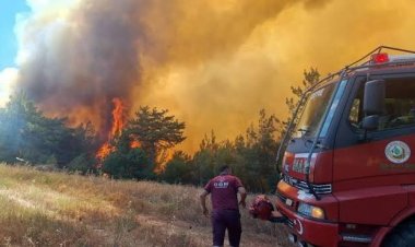 Alevlerin arasında kalan 11 orman işçisi hayatını kaybetti