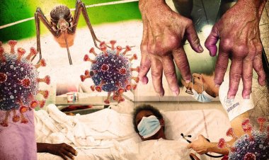 DSÖ'den yeni bir küresel salgın uyarısı: 5.6 milyar kişi risk altında