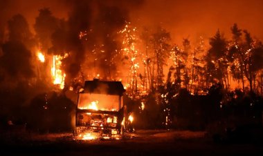Mora Yarımadası alevlere teslim: 12 bin dönüm orman kül oldu